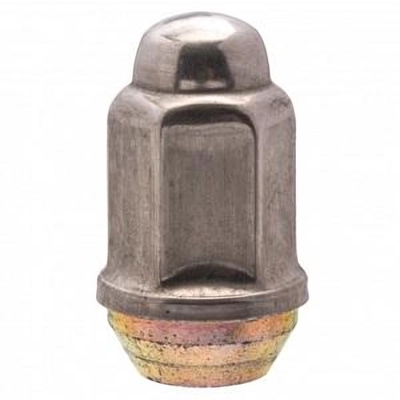 Rear Wheel Nut (Pack of 10) by H PAULIN - 558-171 gen/H PAULIN/Rear Wheel Nut/Rear Wheel Nut_01